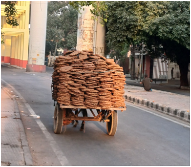 소똥 케이크 20250619_145952133.png