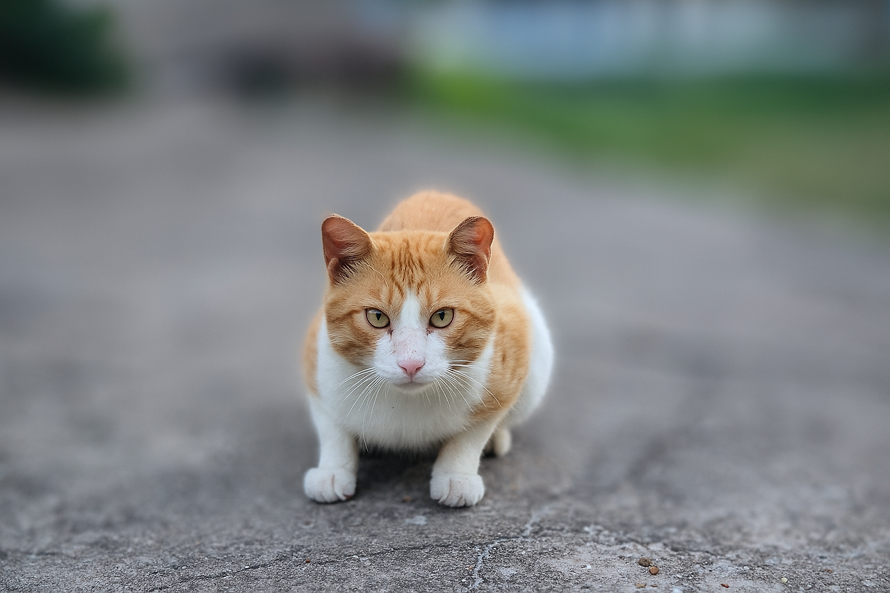 ChatGPT Image 2025년 11월 7일 오후 01_02_43.png