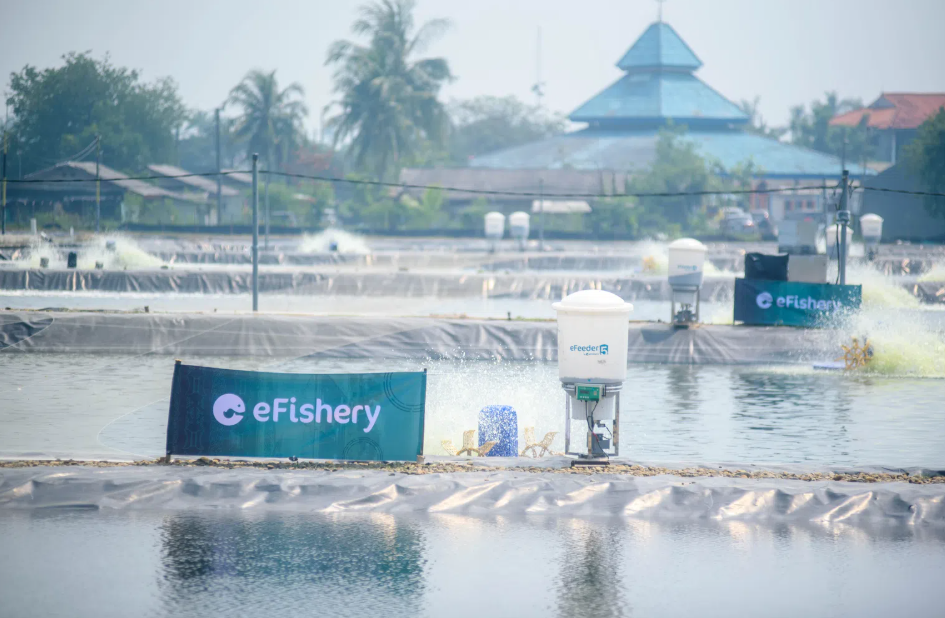 화면 캡처 2025-04-06 090611.png