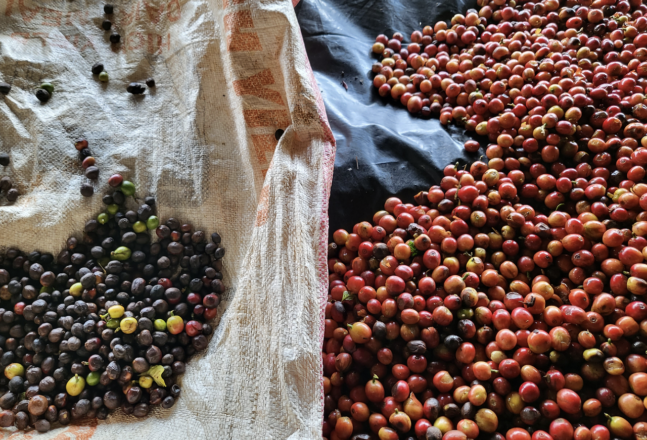 스크린샷 2026-01-07 오후 5.45.41.png