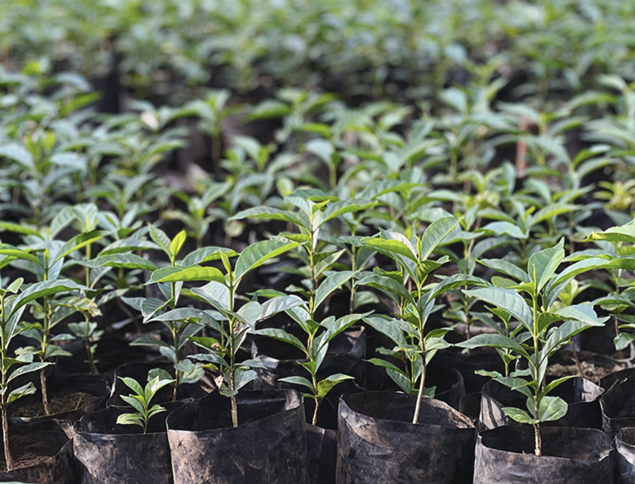 스크린샷 2026-01-20 오후 4.08.15.png