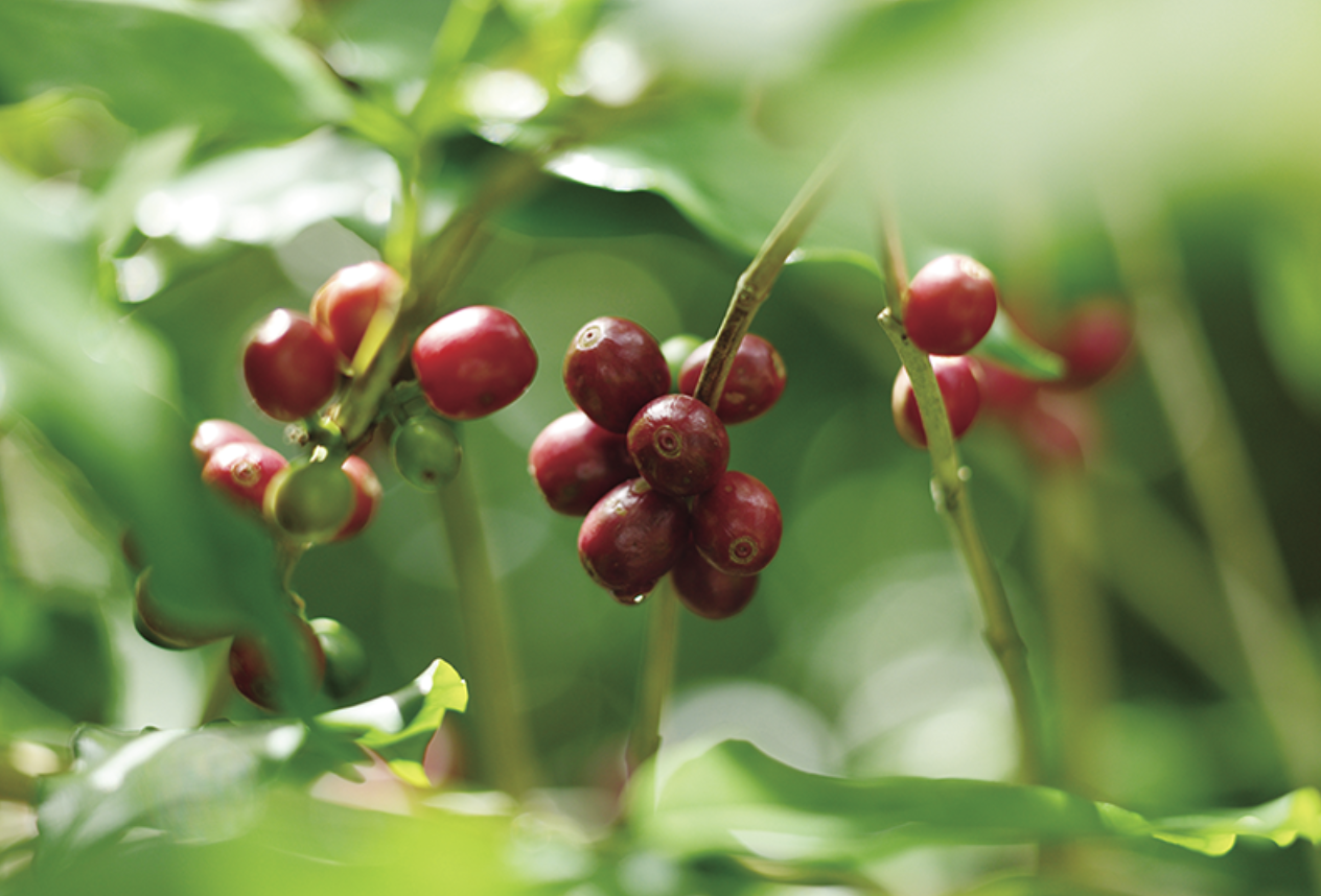 스크린샷 2025-12-05 오후 3.16.48.png