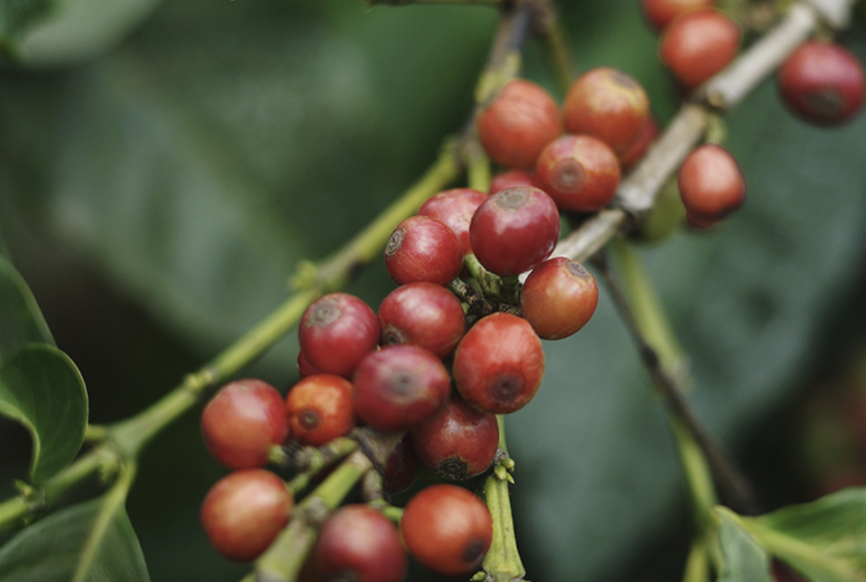 스크린샷 2026-01-20 오후 4.10.58.png