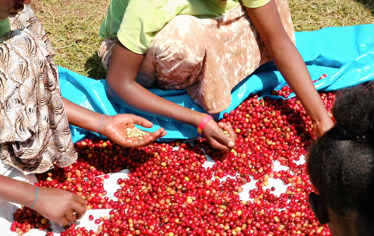 스크린샷 2025-09-17 오후 1.44.59.png