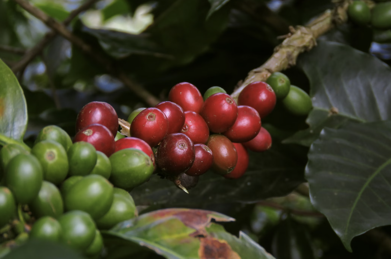 스크린샷 2025-12-18 오후 4.04.26.png