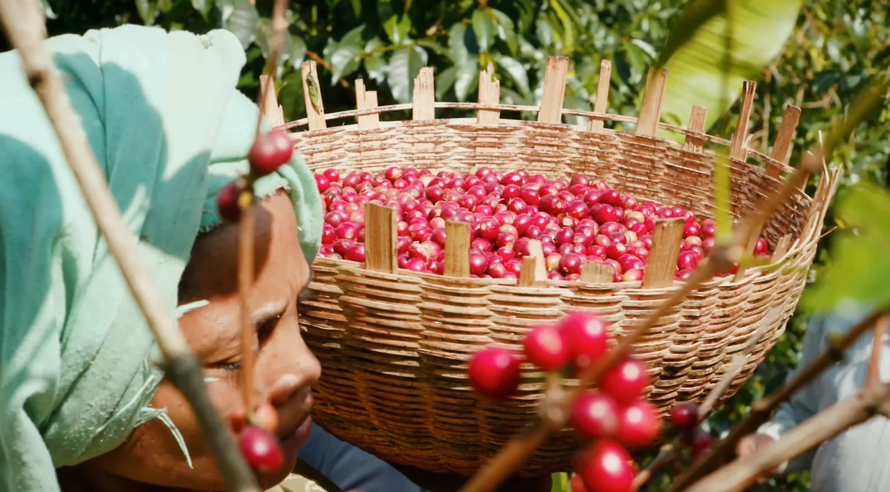 스크린샷 2025-09-17 오후 1.40.52.png