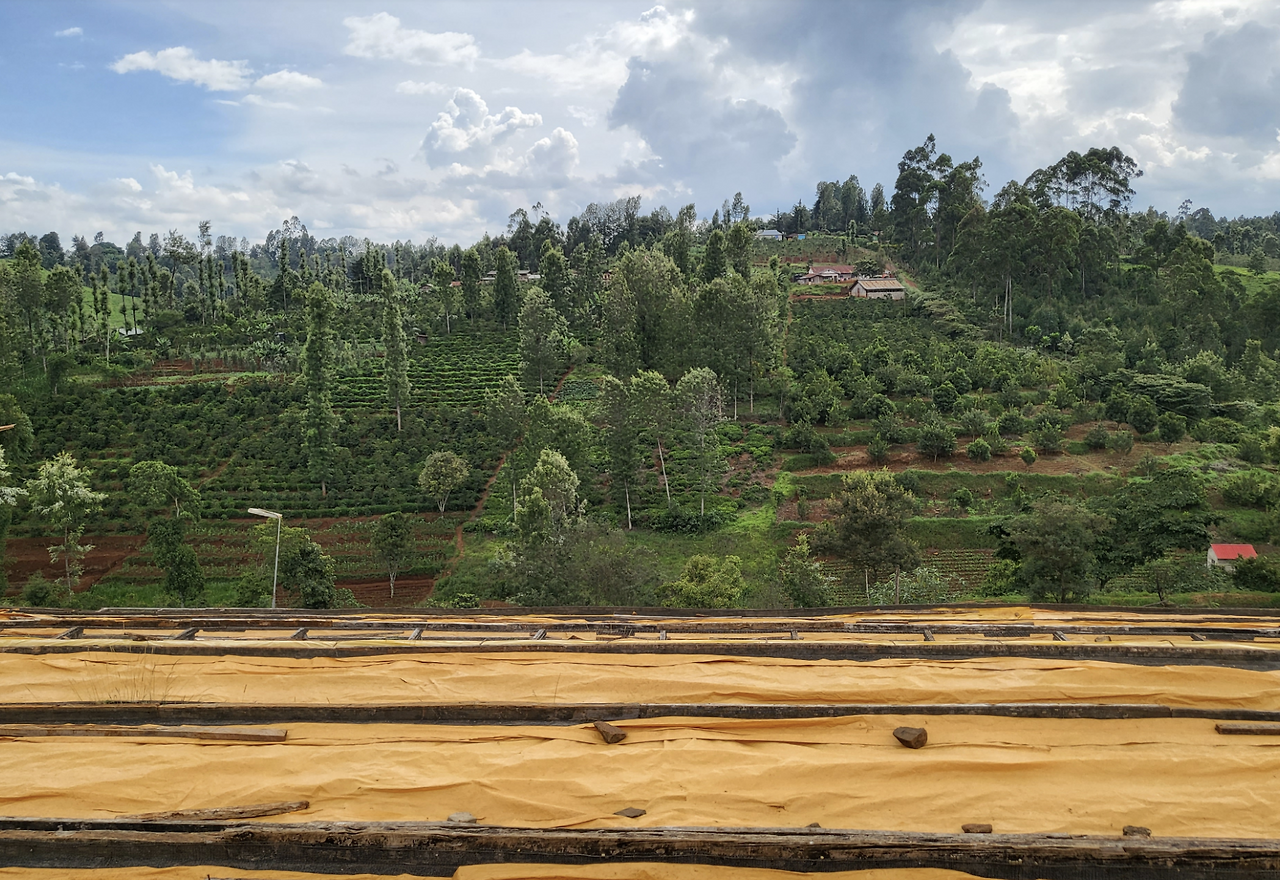 스크린샷 2026-01-07 오후 5.46.18.png