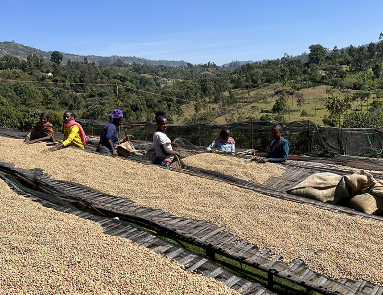 스크린샷 2025-12-18 오후 4.00.16.png