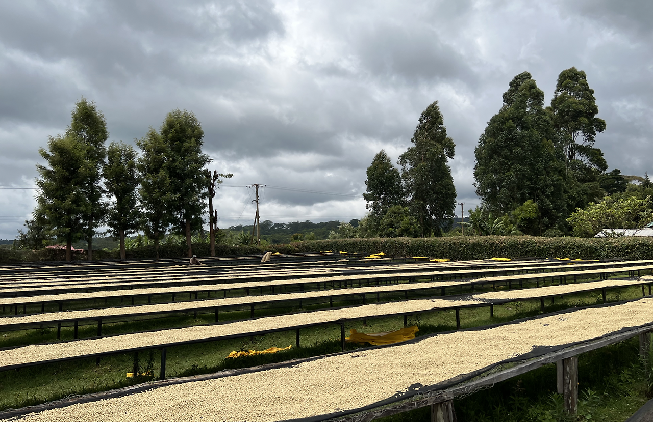 스크린샷 2026-01-07 오후 5.53.44.png