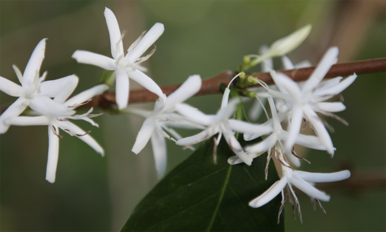 스크린샷 2025-09-30 오후 12.53.02.png