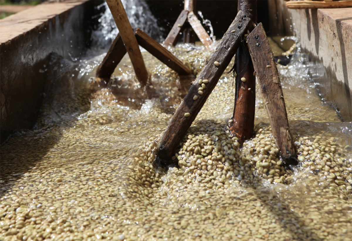 스크린샷 2025-09-30 오후 12.55.23.png