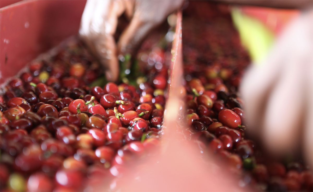 스크린샷 2025-09-30 오후 12.56.05.png