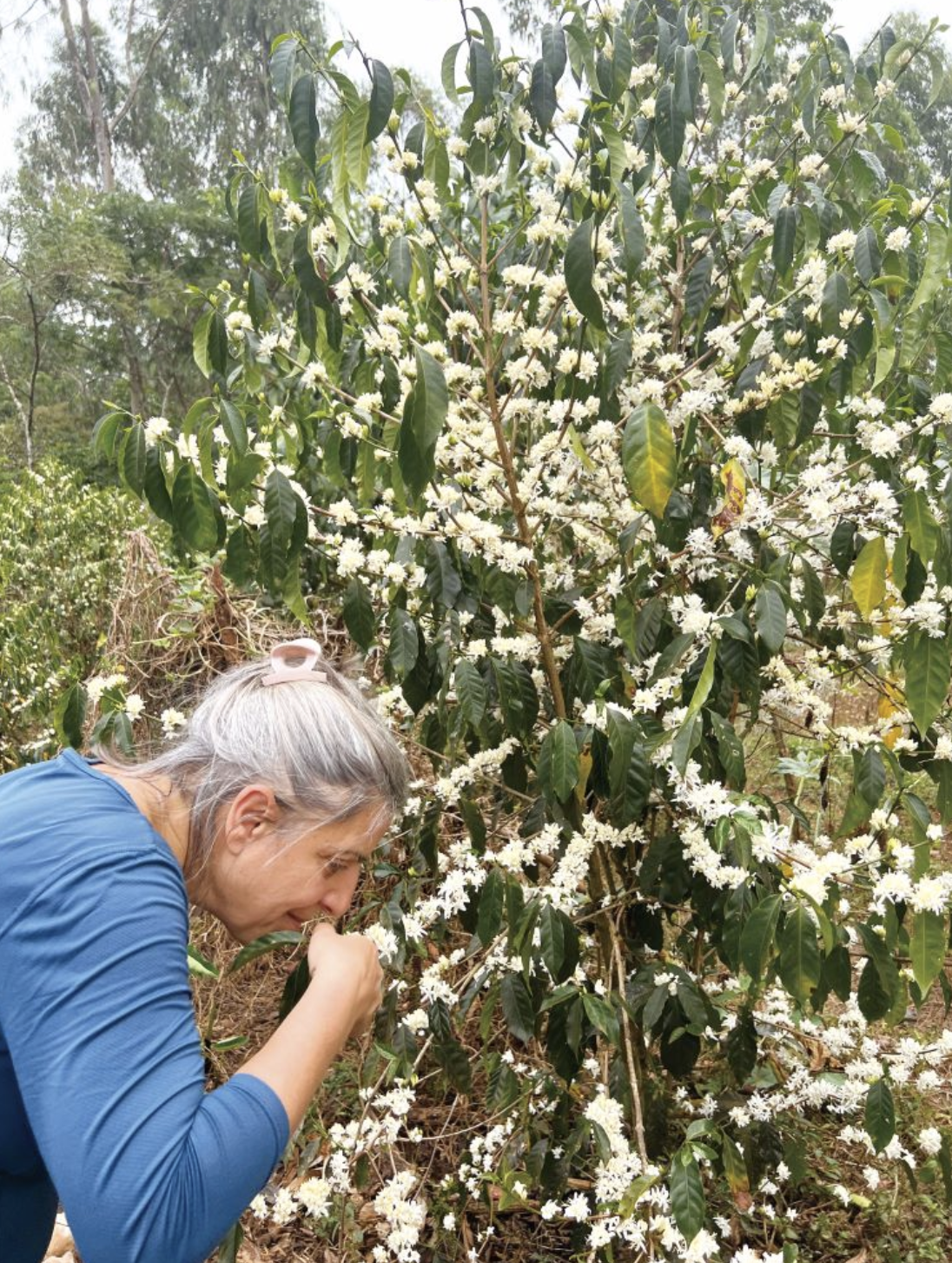 스크린샷 2025-12-05 오후 3.19.47.png