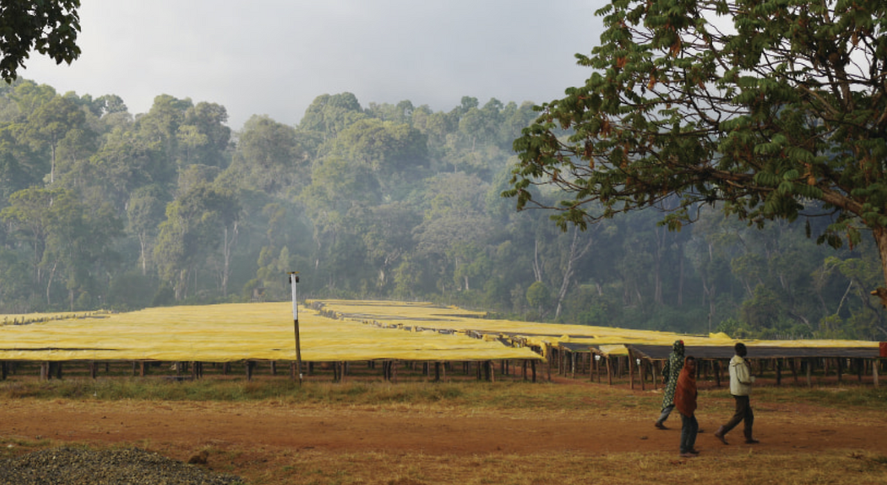 스크린샷 2025-09-30 오후 12.14.50.png