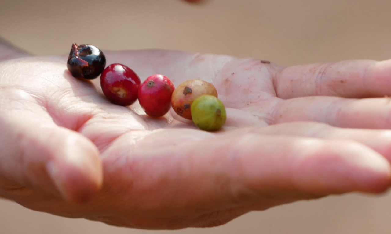 스크린샷 2025-09-17 오후 1.42.53.png