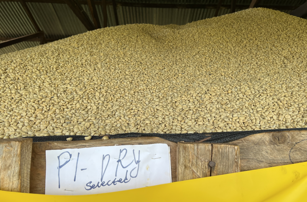 스크린샷 2026-01-07 오후 5.52.58.png