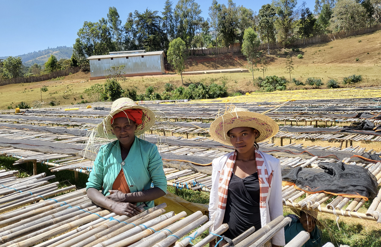 스크린샷 2025-09-30 오후 12.35.33.png