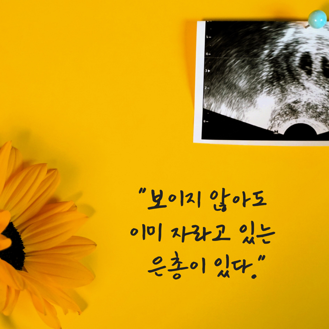 제목을 입력해주세요. (5).png