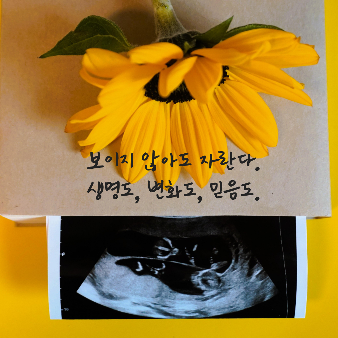 제목을 입력해주세요. (2).png