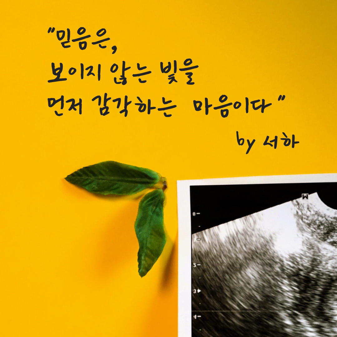 제목을 입력해주세요. (7).png