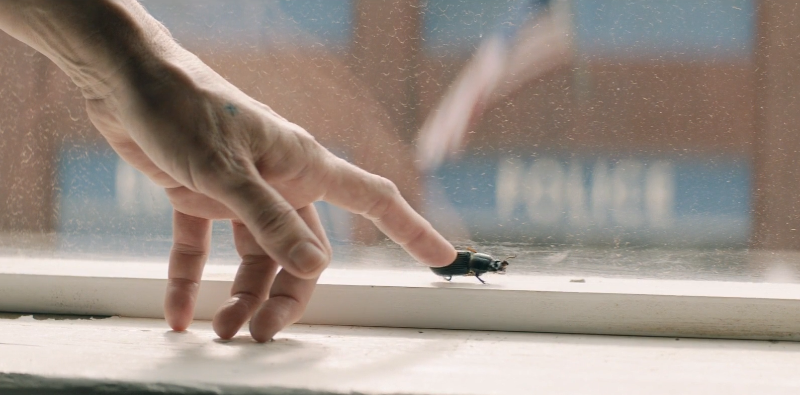 벌레를 뒤집어주는 밀드레드.png