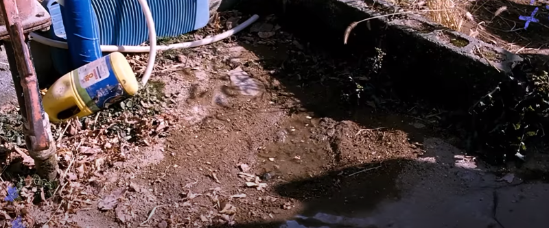 마지막 장면3.png