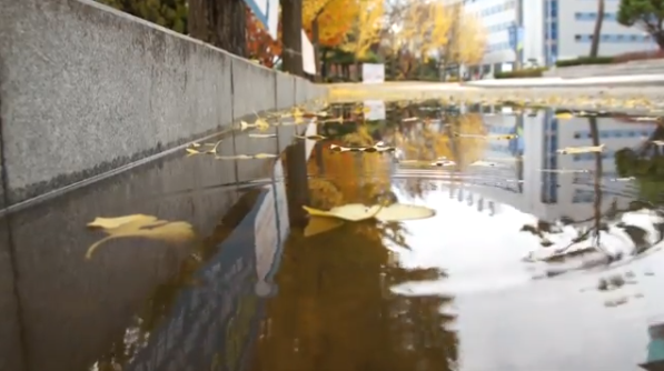 화면 캡처 2025-06-19 100719.png