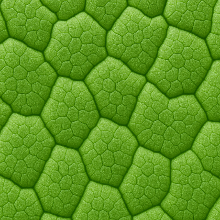 ChatGPT Image 2025년 11월 2일 오후 02_46_59.png