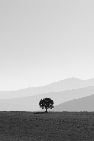 ChatGPT Image 2025년 4월 13일 오후 04_26_30.png