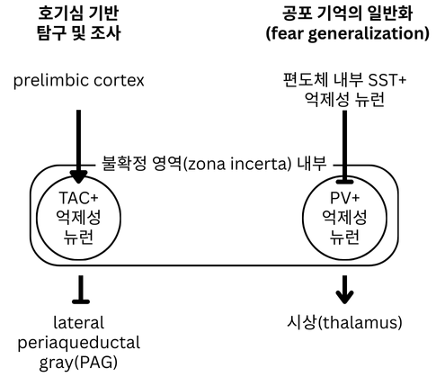 책 도표화 (2).png