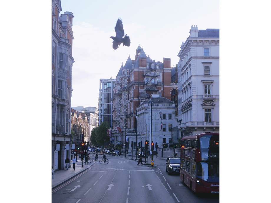 스크린샷 2025-11-28 오전 5.45.06.png