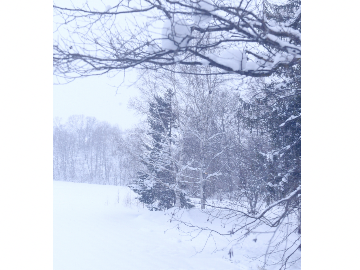 스크린샷 2025-11-03 오전 9.39.39.png