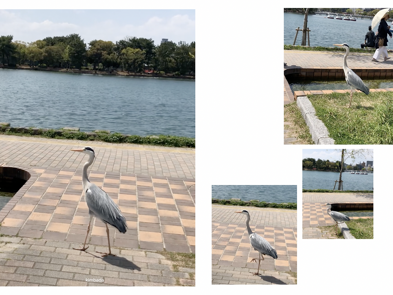 스크린샷 2025-10-17 오전 6.10.17.png