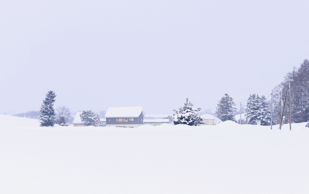 스크린샷 2025-11-13 오후 6.23.54.png