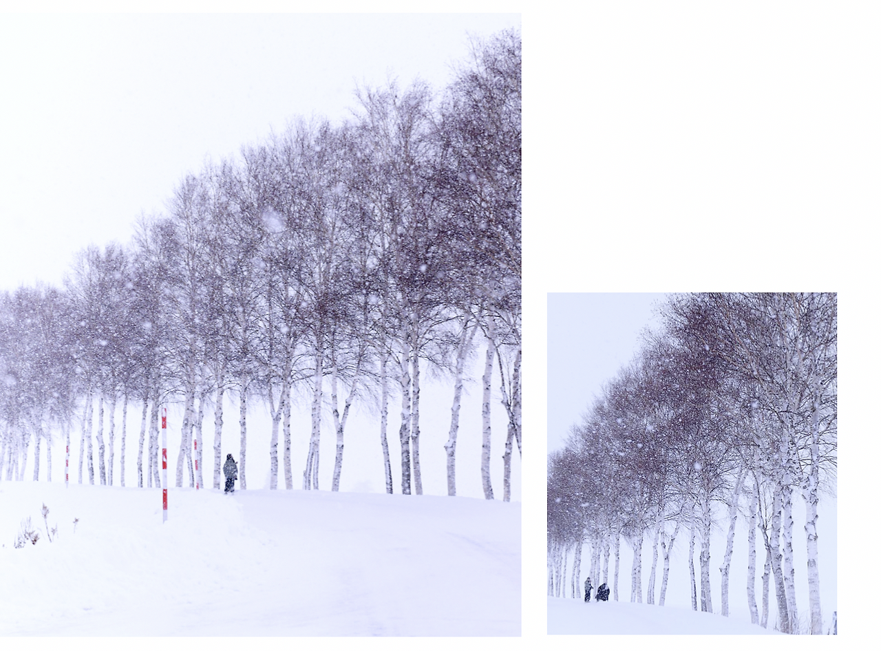 스크린샷 2025-11-13 오후 6.12.32.png