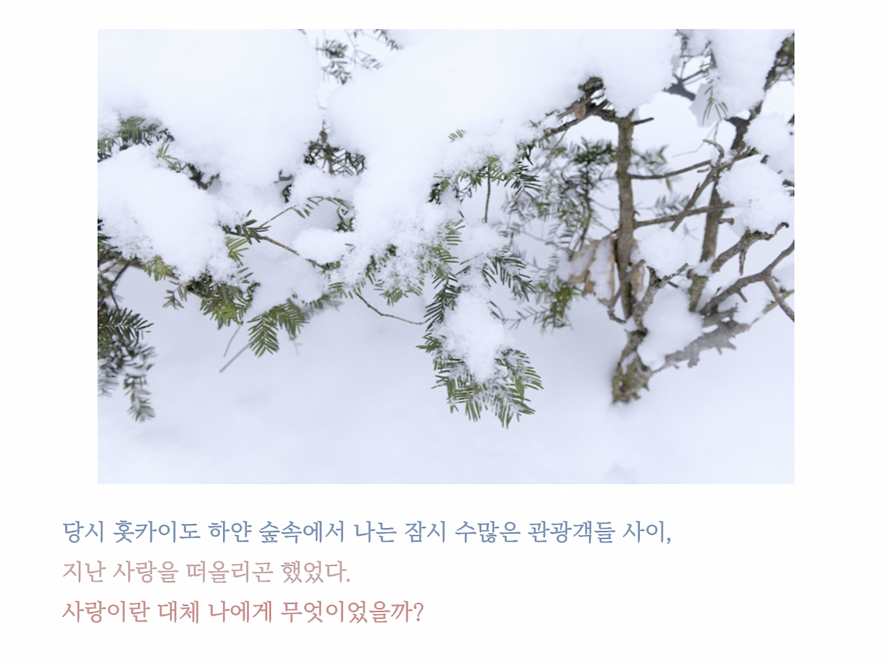 스크린샷 2025-11-13 오후 6.52.41.png