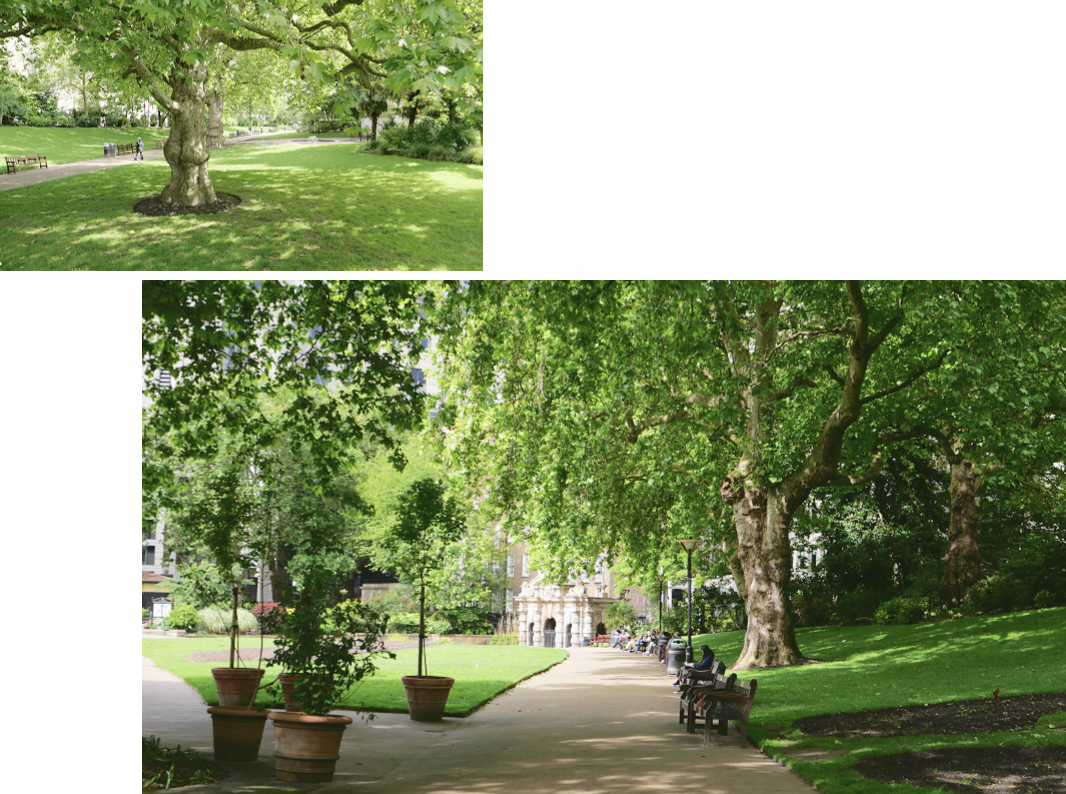 스크린샷 2025-11-28 오전 6.32.03.png