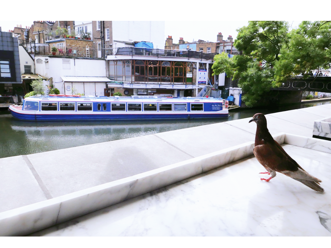 스크린샷 2025-12-29 오후 6.23.06.png