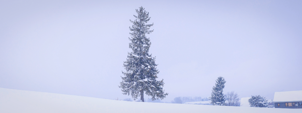 스크린샷 2025-11-03 오전 9.22.10.png