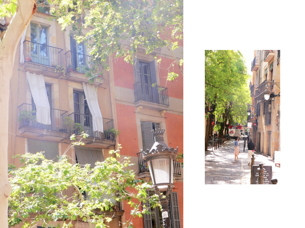 스크린샷 2026-01-15 오후 2.53.34.png