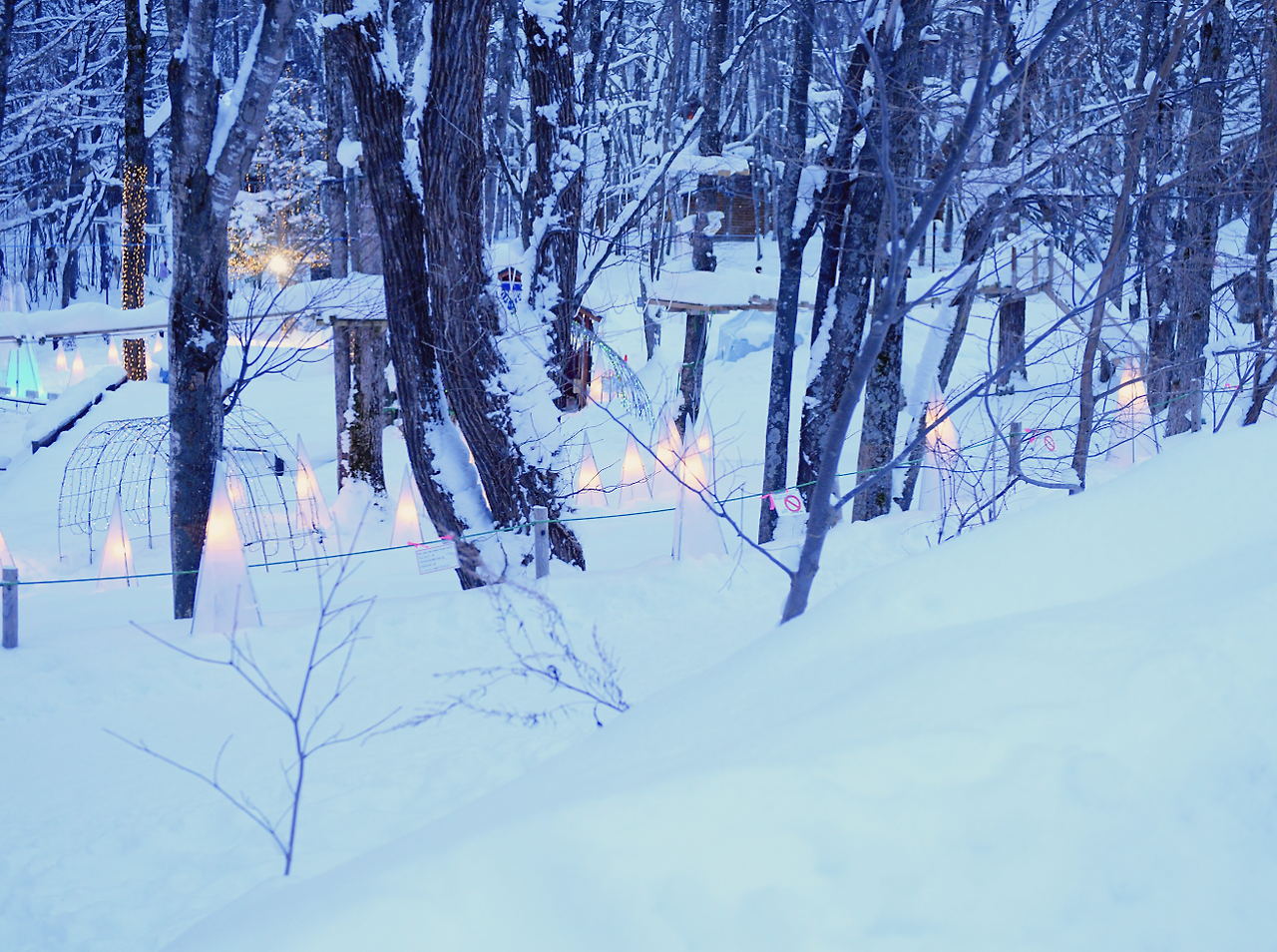 스크린샷 2025-11-27 오전 8.58.13.png