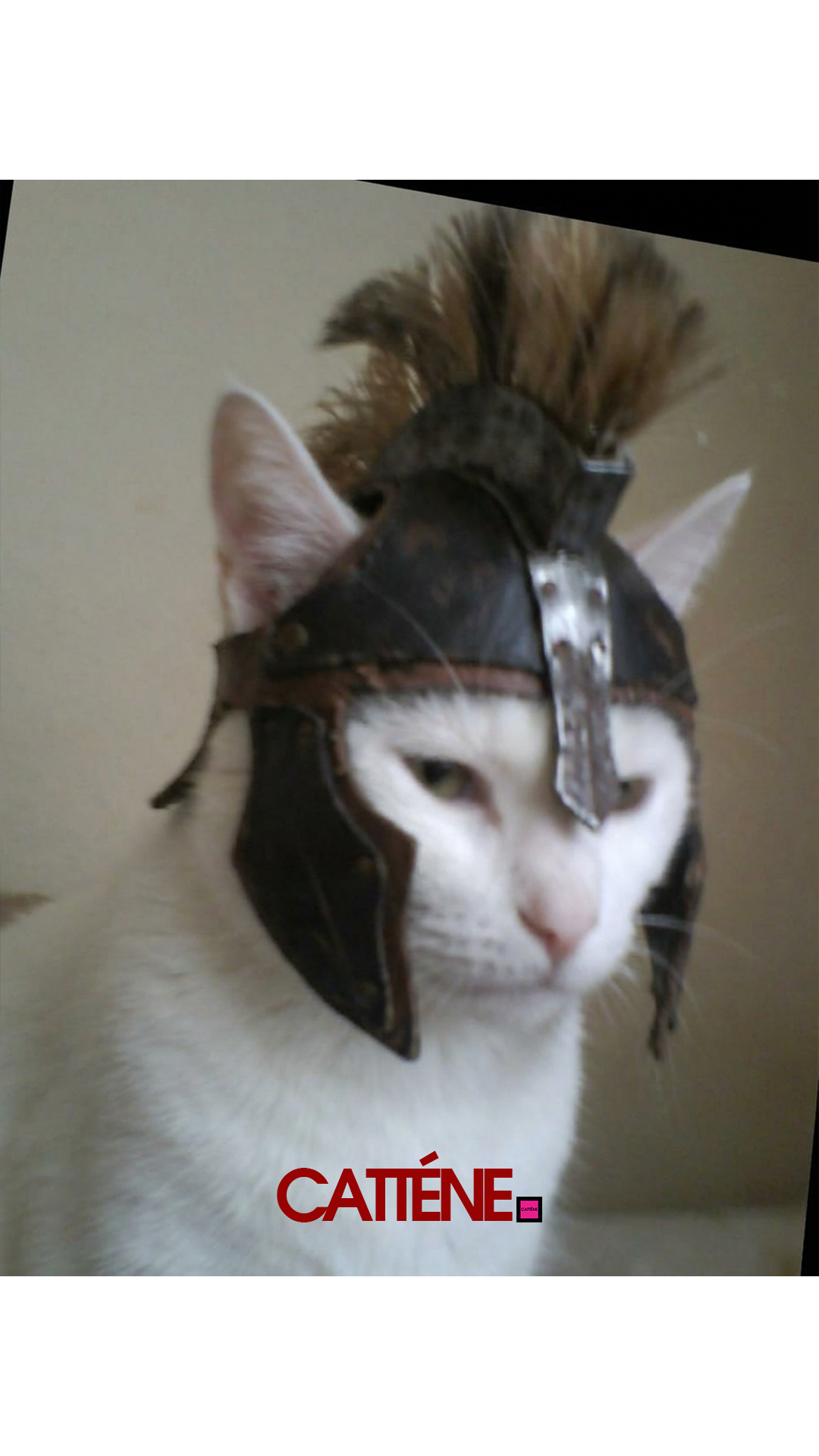 (Transition Scene 2) [14] January Third Week 1 2026.png