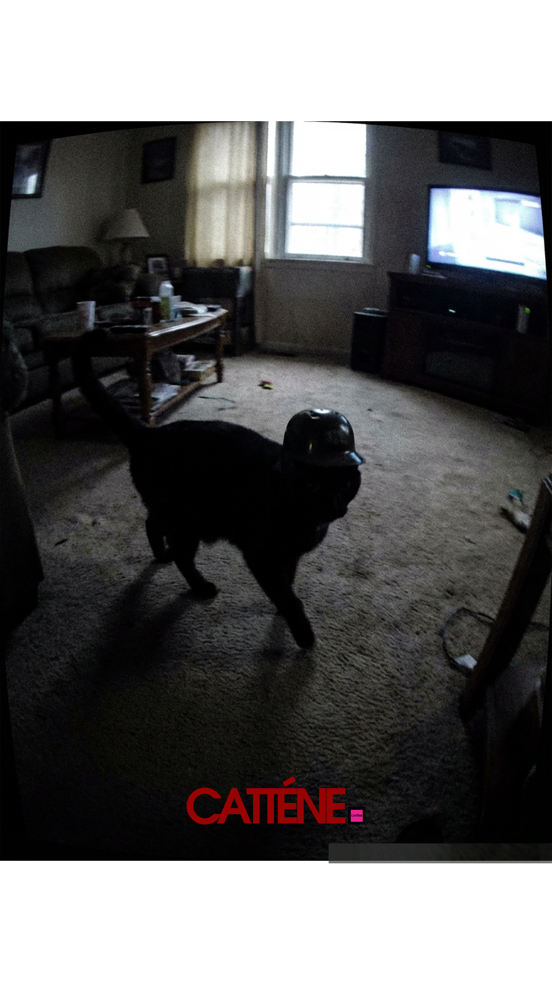 (Transition Scene 4) [14] January Third Week 1 2026.png