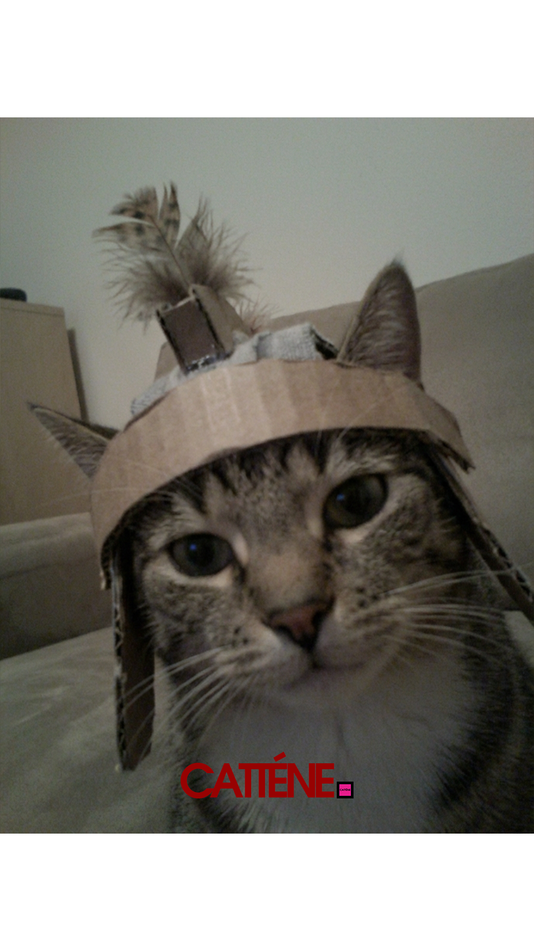 (Transition Scene 5) [14] January Third Week 1 2026.png