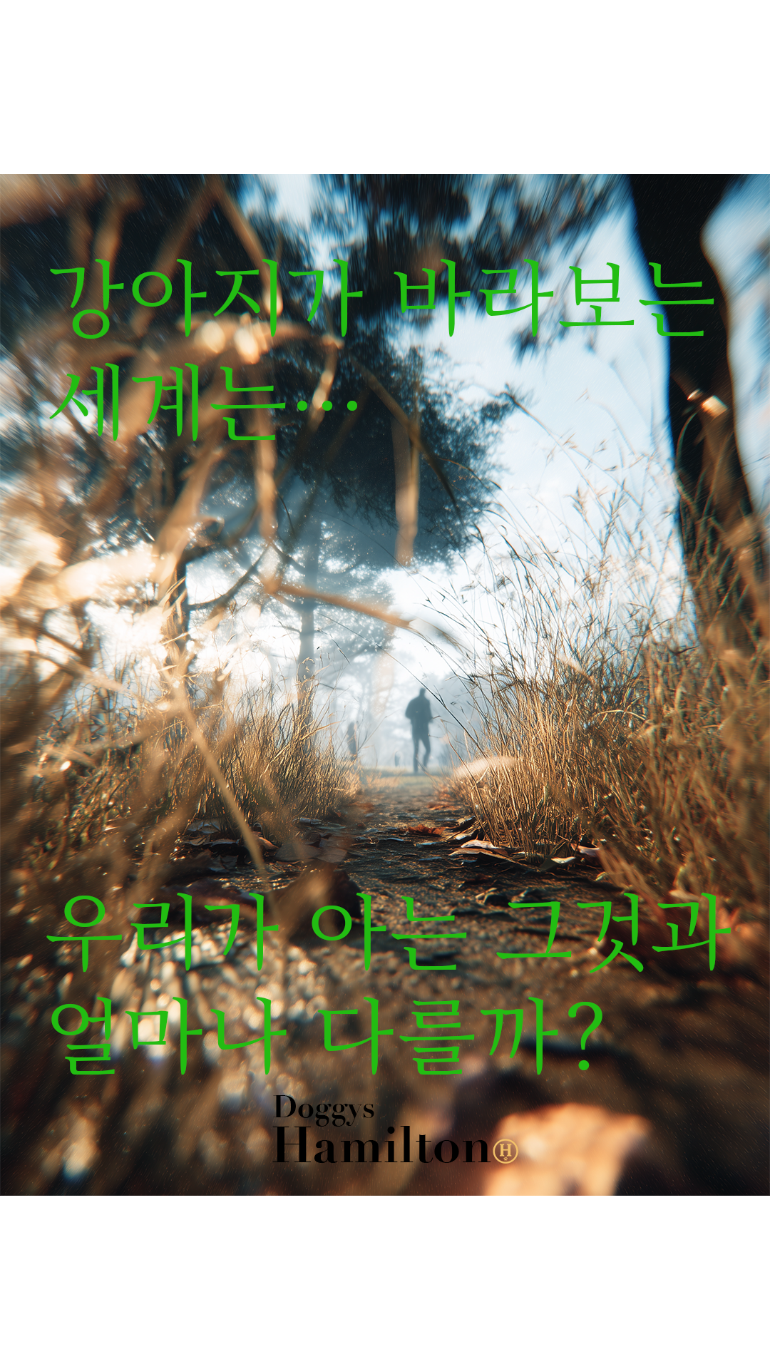 (Page 3) [13] Decanber First Week 1 2025.png