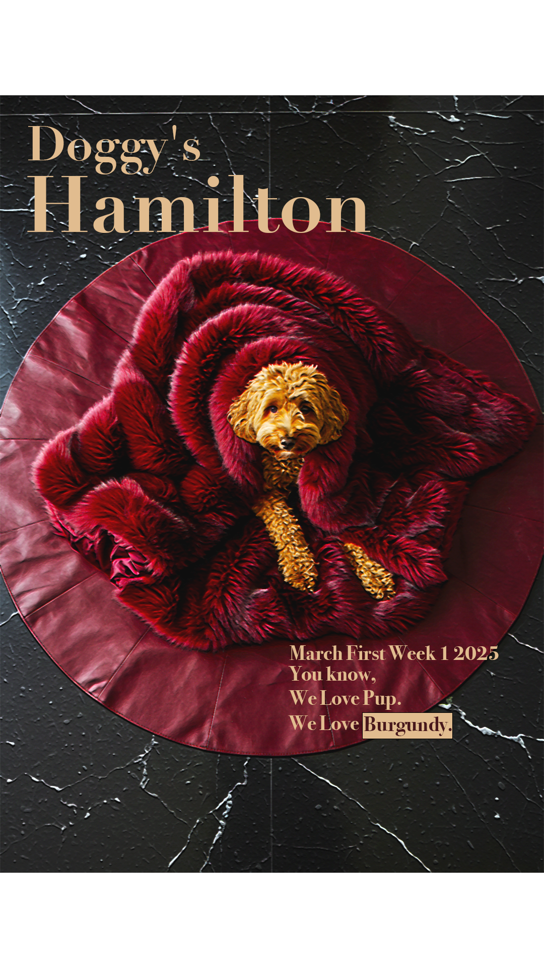 March First Week 1 2025 Outro.png