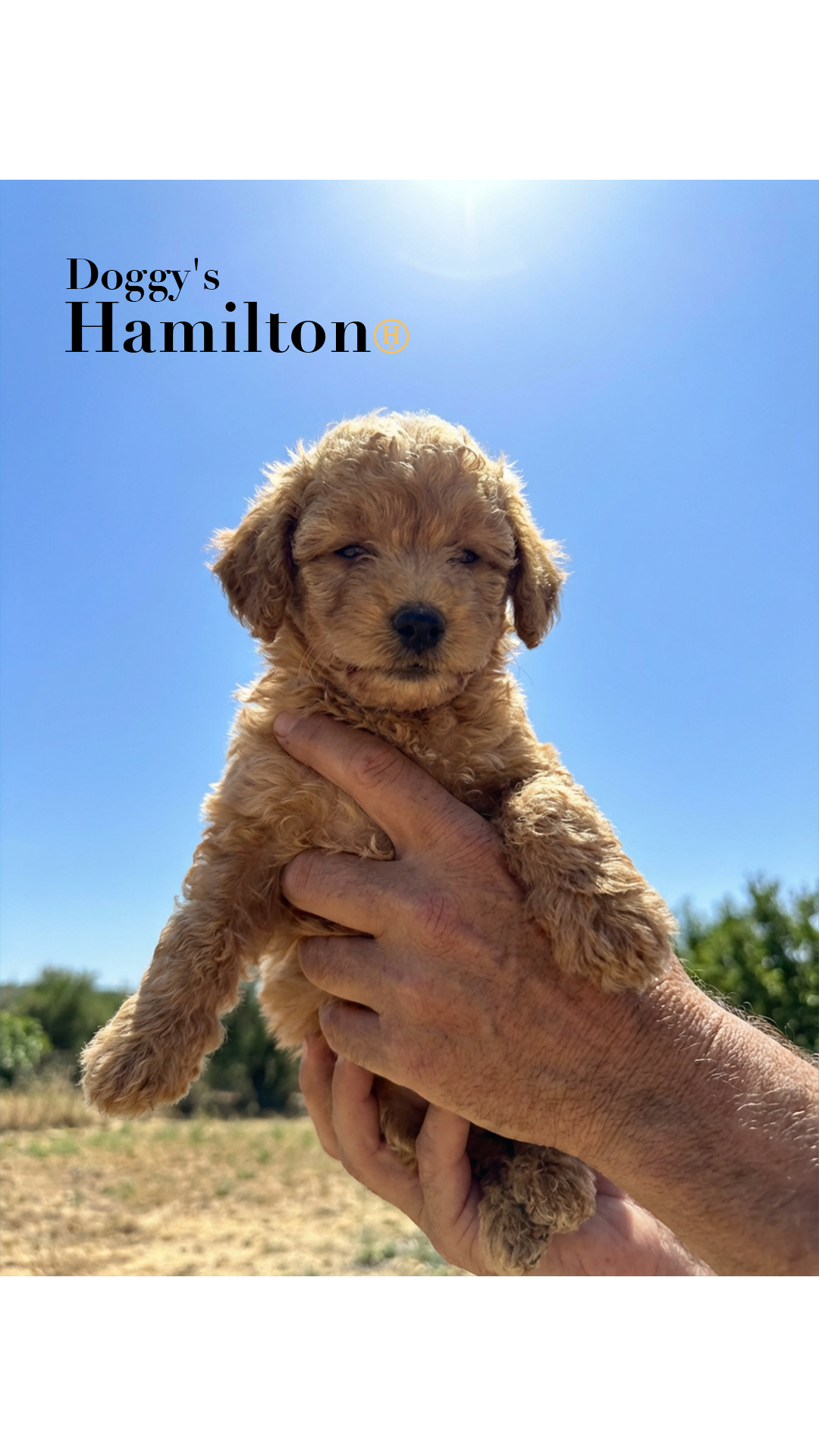 (5-1) [15] January Third Week 1 2026.png