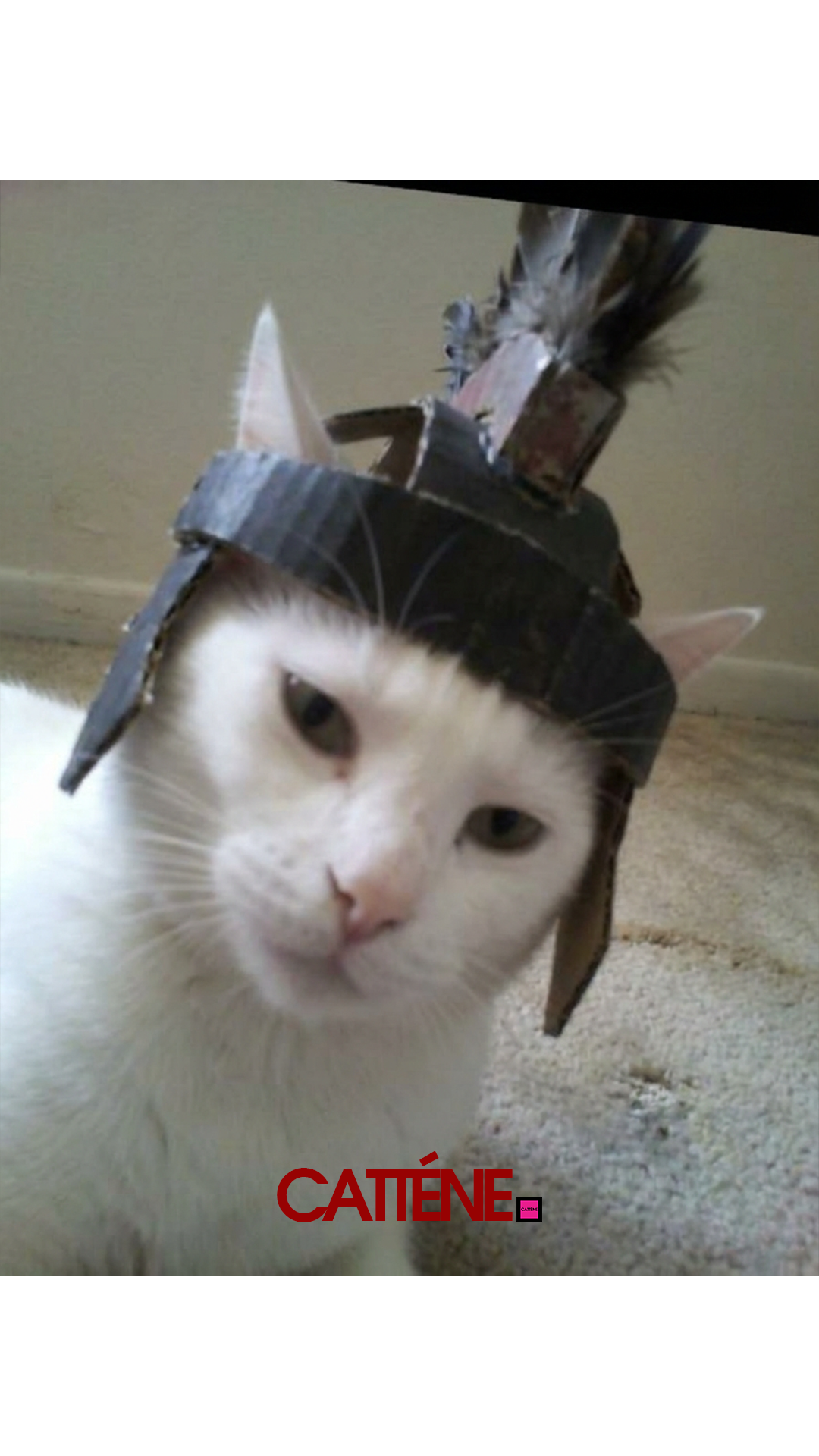 (Transition Scene 1) [14] January Third Week 1 2026.png