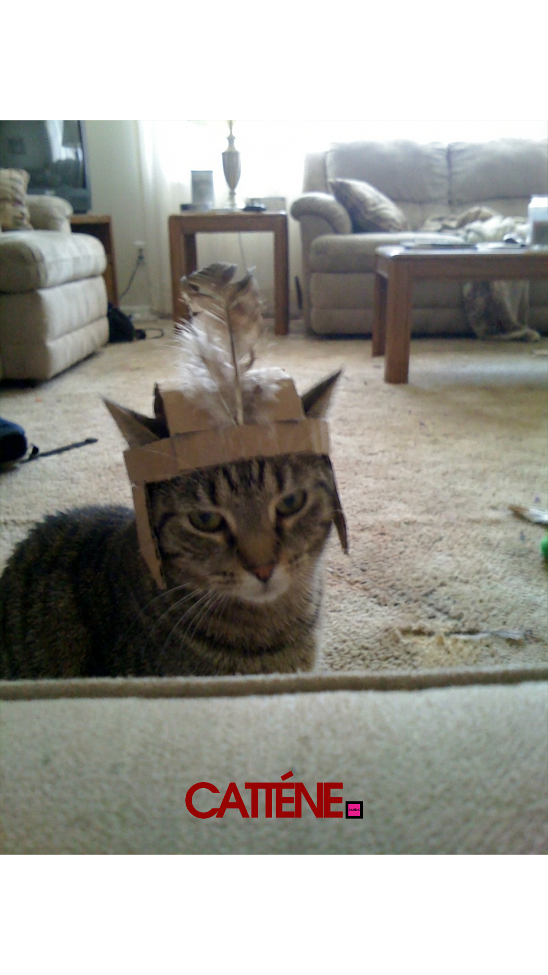 (Transition Scene 3) [14] January Third Week 1 2026.png