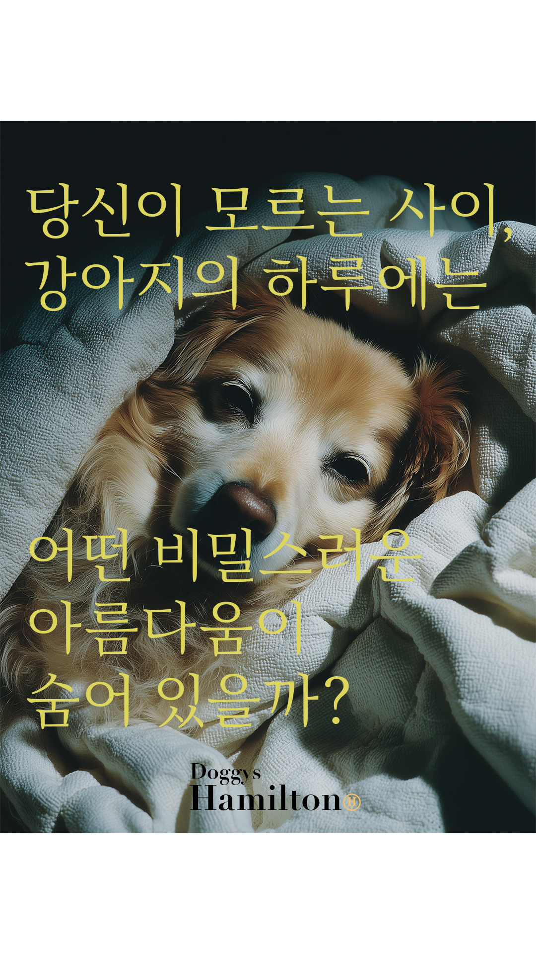 (Page 5) [13] Decanber First Week 1 2025.png